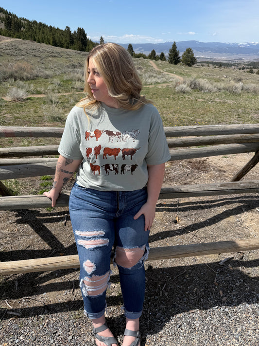 Cattle Graphic Tee