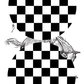 Checkered Car Coasters